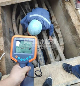 新洲管线探测