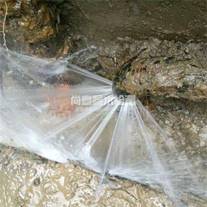 新洲消防管道漏水检测